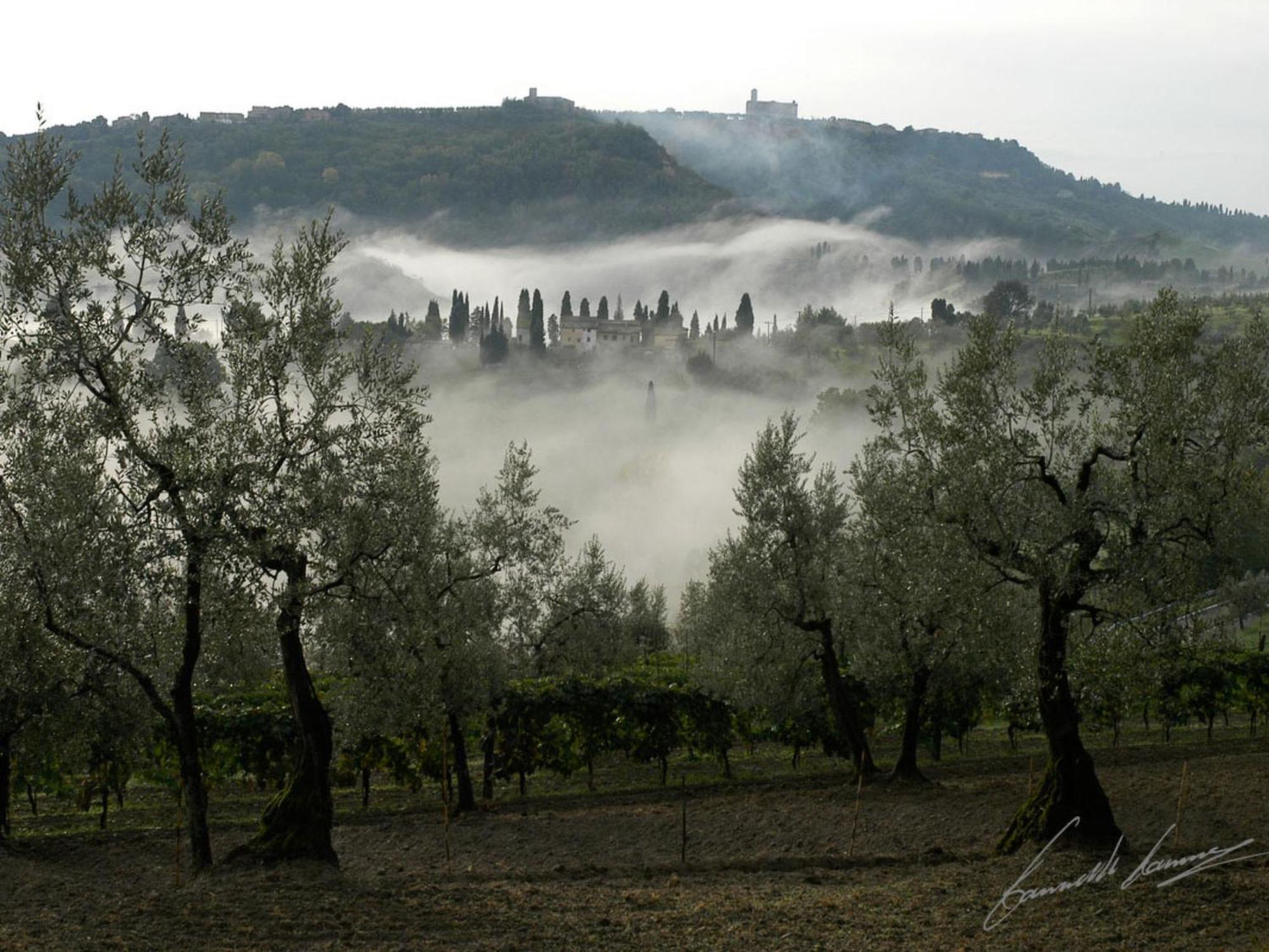 Holiday Home Le Pergole By Interhome Volterra Exterior foto